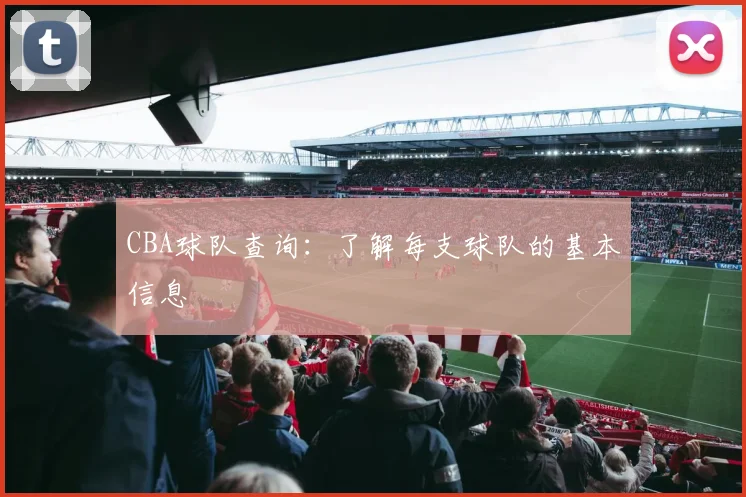 CBA球队查询:了解每支球队的基本信息