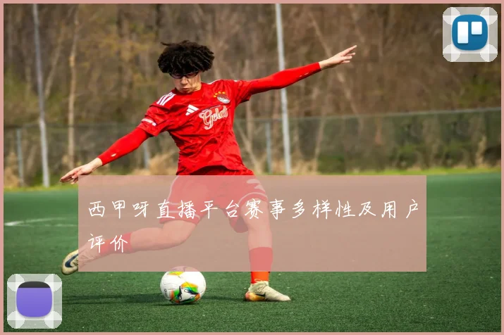 西甲呀直播平台赛事多样性及用户评价
