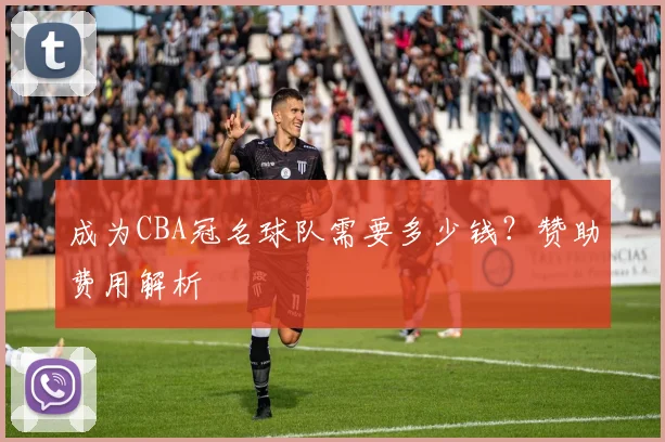 成为CBA冠名球队需要多少钱？赞助费用解析