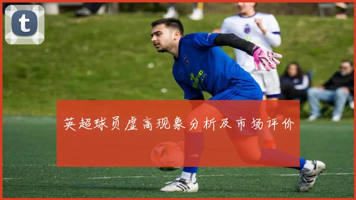 英超球员虚高现象分析及市场评价