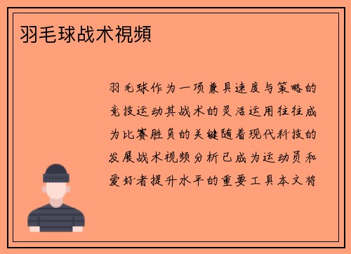 羽毛球战术視頻